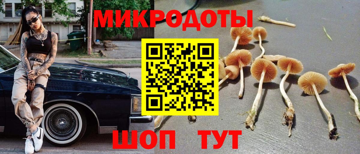 Галлюциногенные грибы Magic Shrooms Донской