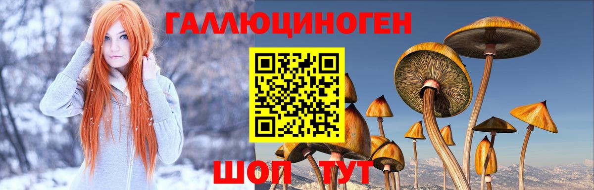 Псилоцибиновые грибы Psilocybine cubensis  Вход с VPN  Донской  Псилоцибиновые грибы Cubensis 